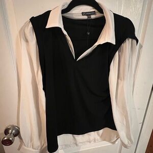 Adrianna papell dress shirt.